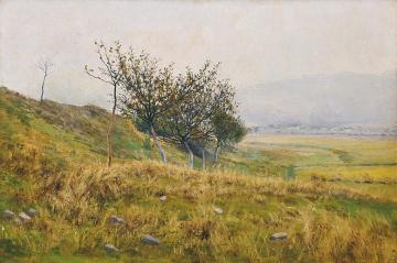 A Shrub Artwork by František Kaván