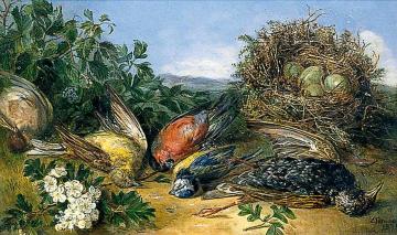 Dying Birds, Illustration for a Poem Artwork by Eloise Harriet Stannard