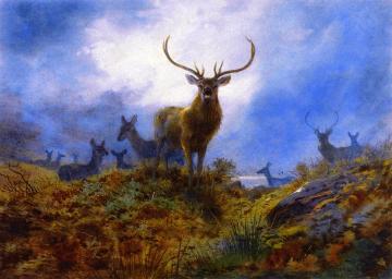 The Last Chance before Dark Artwork by Archibald Thorburn