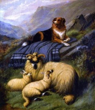 Guarding The Flock Artwork by John Barker