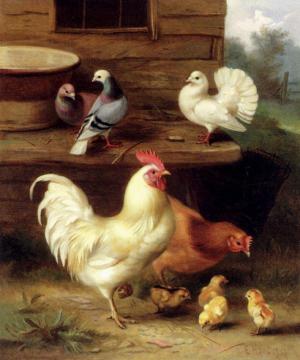 A Cockerel, Hen And Chicks With Pigeons Artwork by Edgar Hunt