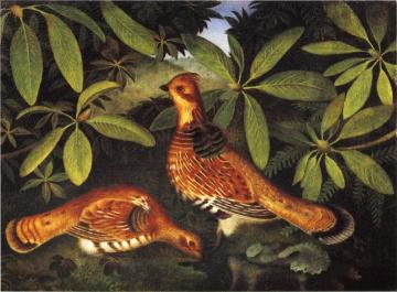 Two Ruffed Grouse Artwork by Rubens Peale