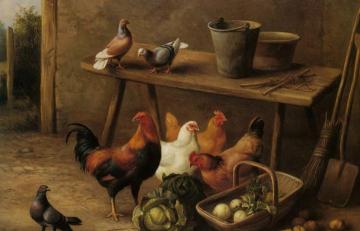 Chickens and Pigeons in a Farmyard Artwork by Edgar Hunt