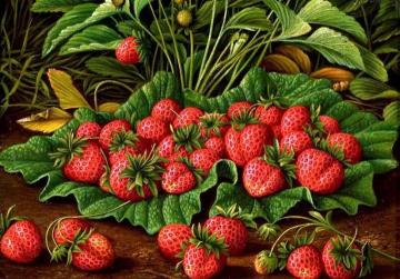 Strawberries Artwork by Levi Wells Prentice