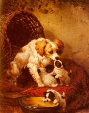 The Happy Litter Artwork by Henriette Ronner-Knip