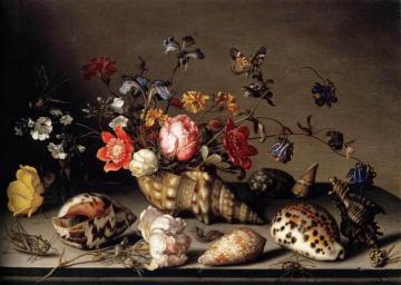 Still-Life of Flowers, Shells, and Insects Artwork by Balthasar van der Ast