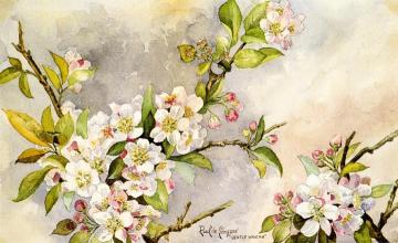 Gentle Wakings Artwork by Raoul de Longpre