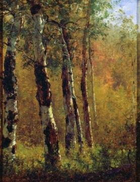 Birch Trees Artwork by Thomas Worthington Whittredge