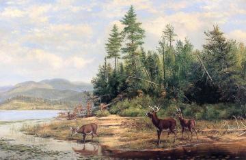 Long Lake Artwork by Arthur Fitzwilliam Tait