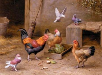 Chickens In A Farmyard Artwork by Edgar Hunt