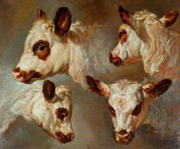 Four Studies of Heads of Cattle Artwork by George Morland