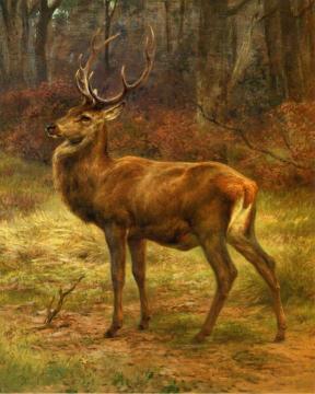 Stag In An Autumn Landscape Artwork by Rosa Bonheur