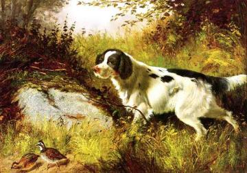 Dog and Quail Artwork by Arthur Fitzwilliam Tait