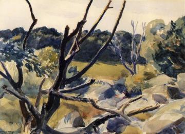 Dead Trees, Gloucester Artwork by Edward Hopper