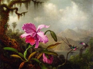 Orchids and Hummingbirds near a Mountain Lake Artwork by Martin Johnson Heade