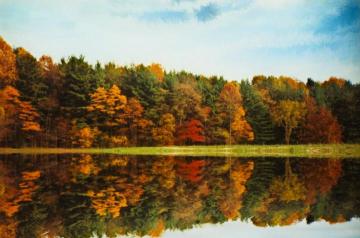 Autumn Trees Reflected In Lake Artwork by Eric Sloane