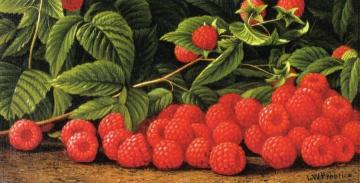 Raspberries Artwork by Levi Wells Prentice