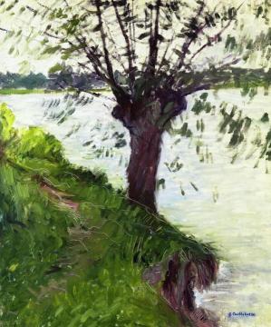 Willow on the Banks of the Seine Artwork by Gustave Caillebotte
