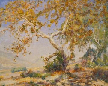 California Sycamore Artwork by Mathias J. Alten