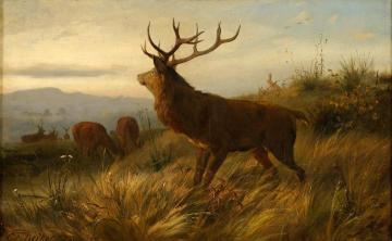 The Rival Artwork by Carl Friedrich Deiker