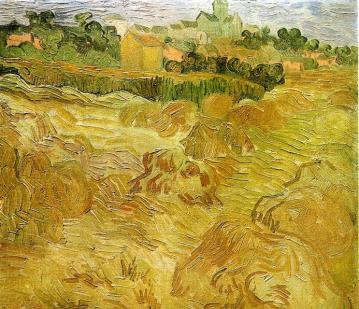 Wheat Fields with Auvers in the Background Artwork by Vincent Van Gogh