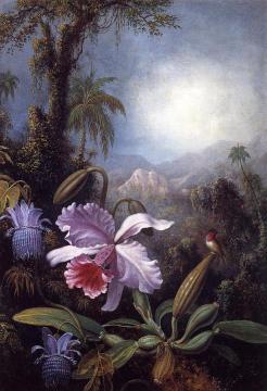 Orchids, Passion Flowers and Hummingbird Artwork by Martin Johnson Heade