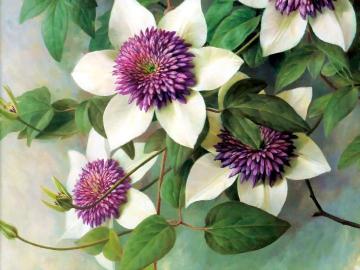 Untitled Artwork by Raymond Booth