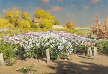 Autumn landscape with phloxes Artwork by Johan Krouthén