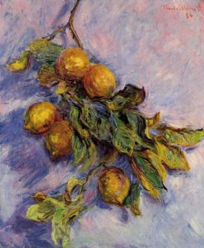 Lemons on a Branch Artwork by Claude Oscar Monet