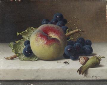 Still Life of Fruit and Nuts on a Ledge Artwork by Emilie Preyer