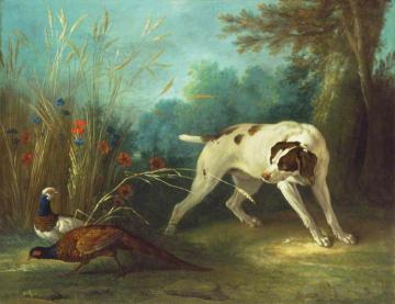 Dog Pointing Pheasants Artwork by Jean-Baptiste Oudry
