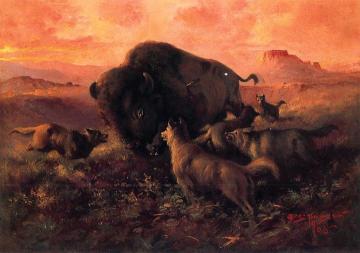 The Wounded Buffalo Artwork by Frank Tenney Johnson