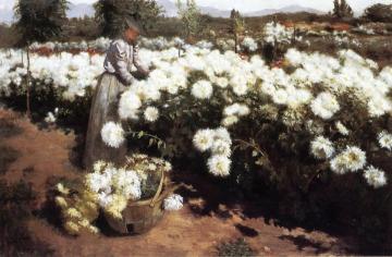 Chrysanthemum Garden in Southern California Artwork by Fannie Eliza Duvall