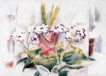 Cineraria Artwork by Charles Demuth
