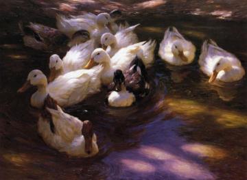 Eleven Ducks in the Morning Sun Artwork by Alexander Koester