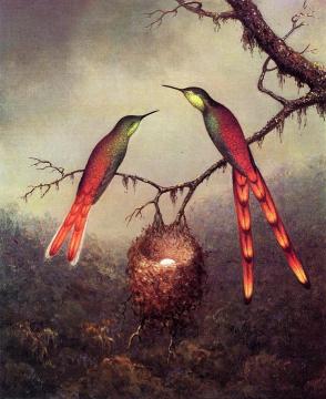 Two Hummingbirds Garding an Egg Artwork by Martin Johnson Heade