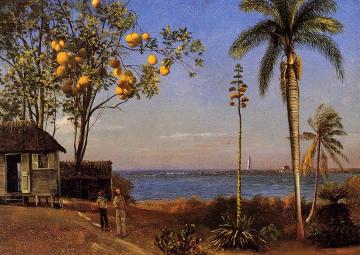 A View in the Bahamas Artwork by Albert Bierstadt