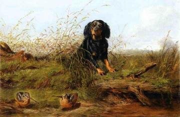 Cocker Spaniel And Woodcock Artwork by Arthur Fitzwilliam Tait