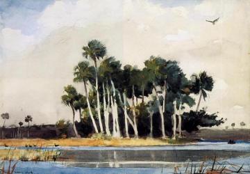 The Turkey Buzzard Artwork by Winslow Homer