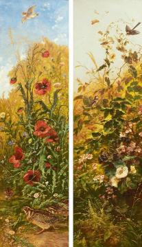 Flowers, birds and butterflies Artwork by Karl Bodmer