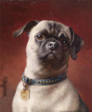 Pug Artwork by Carl Reichert