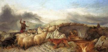 Collecting Sheep for Clipping in the Highlands Artwork by Richard Ansdell