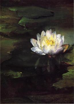 Water-Lily, Study from Nature Artwork by John La Farge