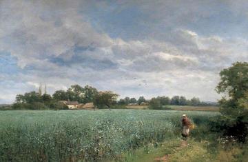 A Bean Field At Pickersleigh, Near Malvern, Worcestershire Artwork by David Bates