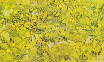 A Field Of Yellow Flowers Artwork by Vincent Van Gogh