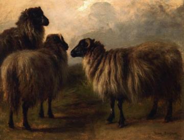 Three Wooly Sheep Artwork by Rosa Bonheur