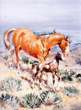 The Pinto Foal Artwork by Edward Borein