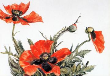 Red Poppies Artwork by Charles Demuth