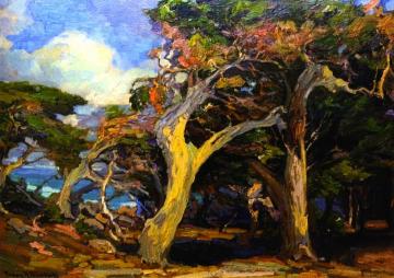 Windswept Twisted Cypress Artwork by Franz Bischoff