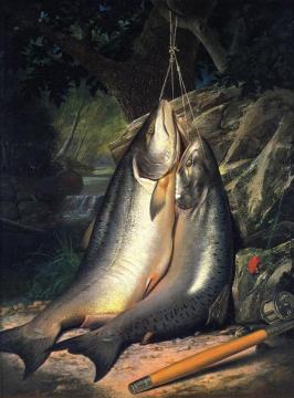 Steelhead Salmon Artwork by Samuel Marsden Brooks